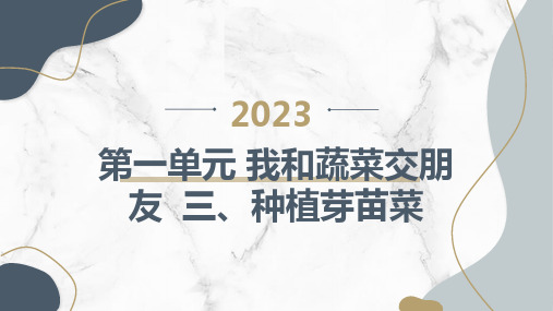 三种植芽苗菜(课件)二年级下册综合实践活动