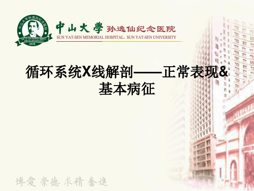 心肺影像诊断学:循环系统X线解剖——正常表现 基本病征
