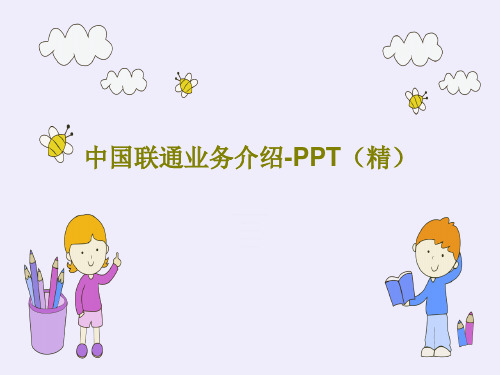 中国联通业务介绍-PPT(精)共15页文档