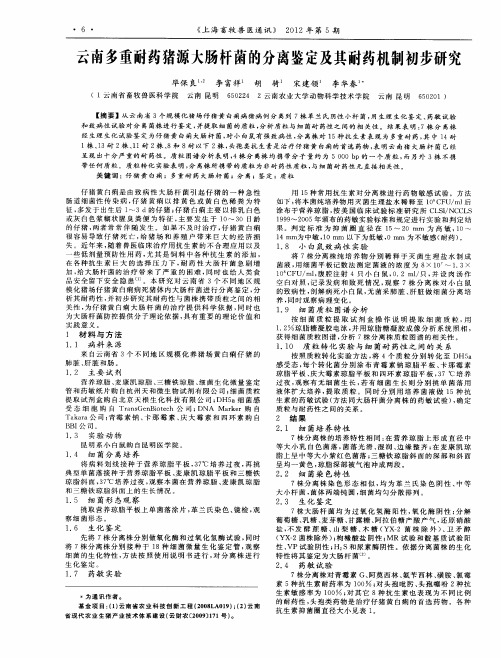 云南多重耐药猪源大肠杆菌的分离鉴定及其耐药机制初步研究