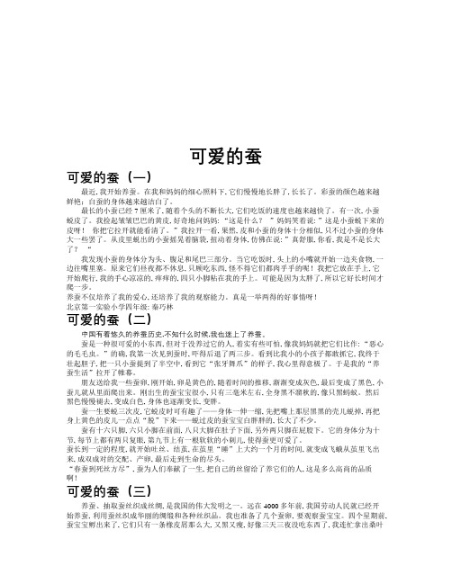 可爱的蚕作文共九篇