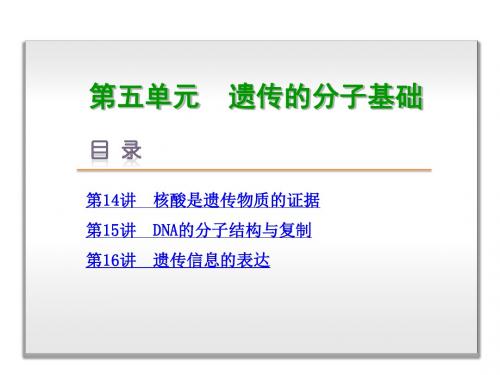 2019届高考生物(浙江选考)一轮复习精讲课件：第5单元-遗传的分子基础 (共201张PPT)