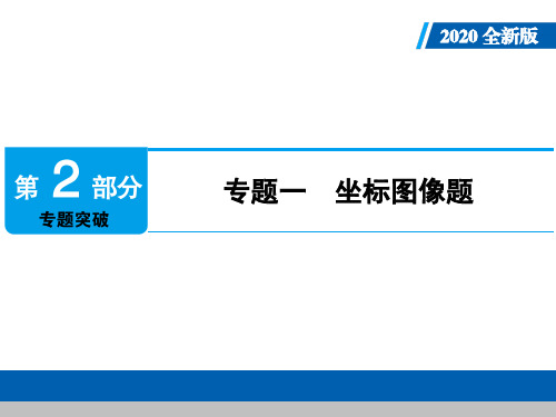 2020年人教版中考化学专题复习课件:专题1 坐标图像题(共35张PPT)