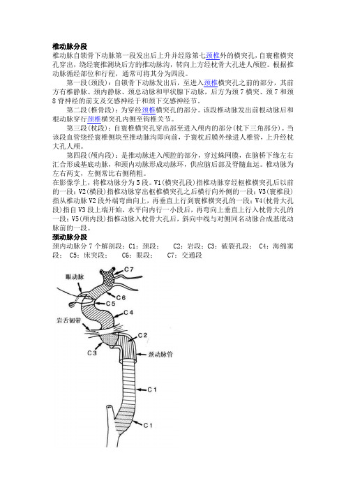 椎动脉分段