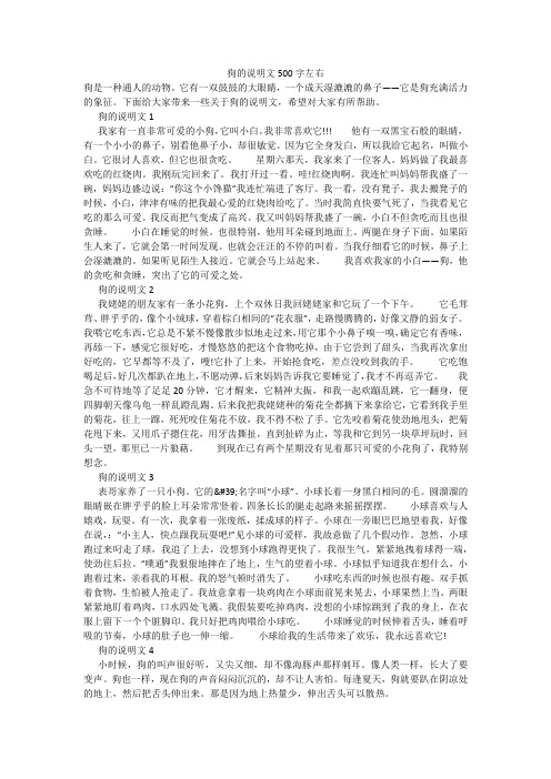 狗的说明文500字左右