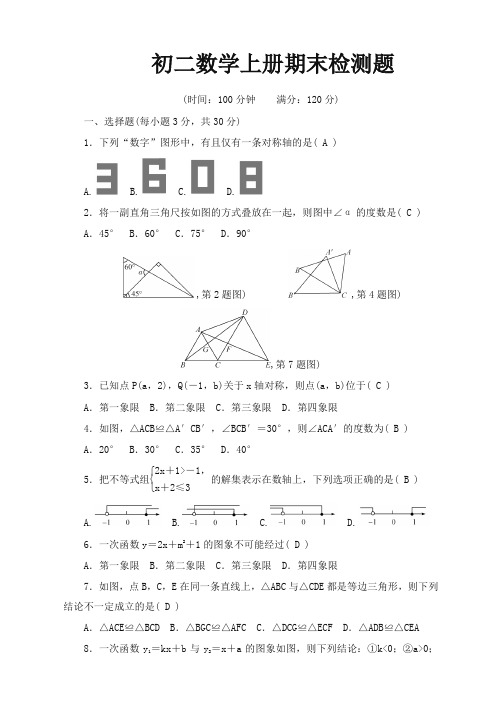 浙教版八年级数学上期末检测题有答案 (优质精编)