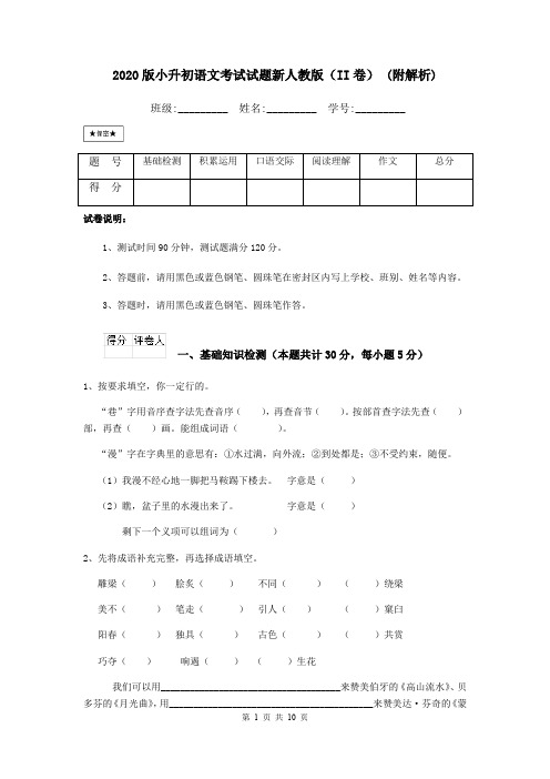 2020版小升初语文考试试题新人教版(II卷) (附解析)