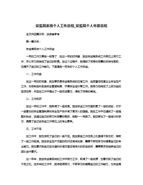 安监局系统个人工作总结_安监局个人年度总结