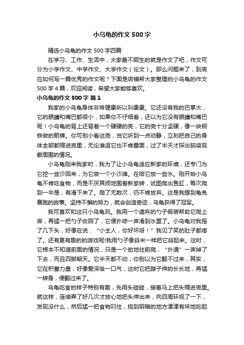 小乌龟的作文500字