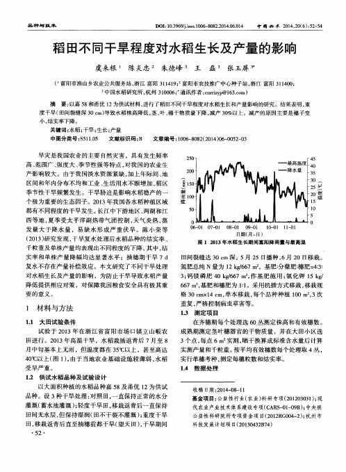 稻田不同干旱程度对水稻生长及产量的影响