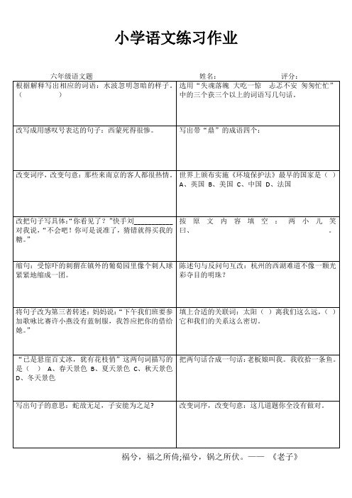 小学六年级语文课堂自评训练 (79)