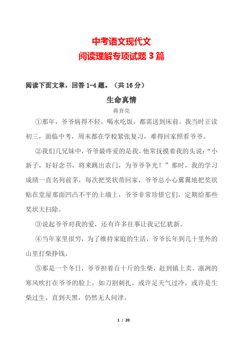 初中 中考语文现代文(记叙文)-阅读理解专项试题附答案解析 3篇D