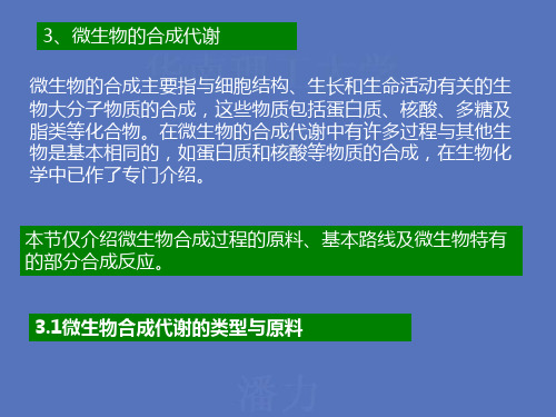 微生物的合成代谢