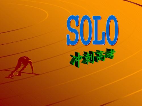 SOLO分析(2009.4)