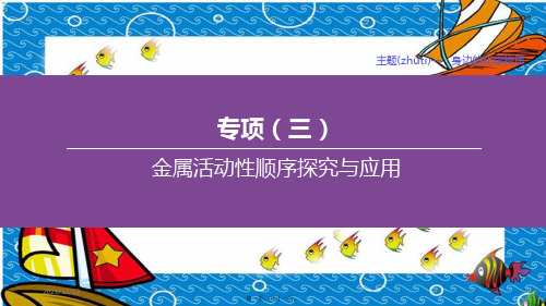 中考化学复习方案 主题一 身边的化学物质 专项(03)金属活动性顺序探究与应用课件