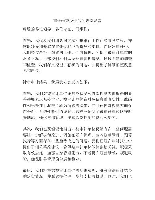 审计结束反馈后的表态发言