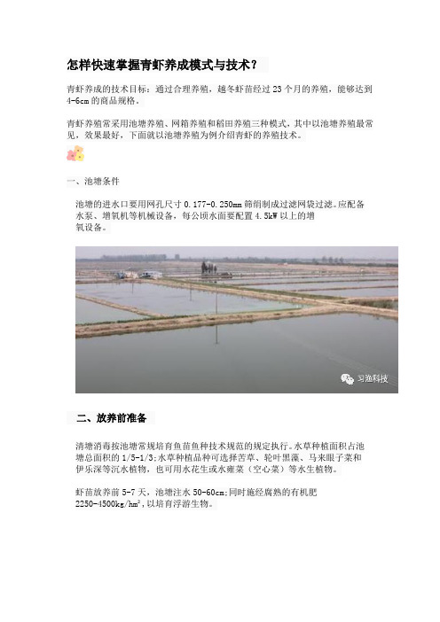 怎样快速掌握青虾养成模式与技术