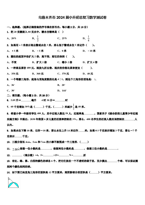 乌鲁木齐市2024届小升初总复习数学测试卷含解析