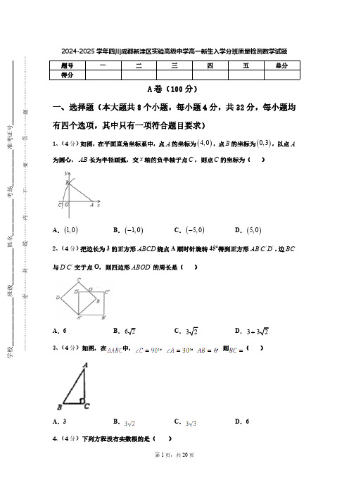 四川成都新津区实验高级中学2024-2025学年高一新生入学分班质量检测数学试题【含答案】