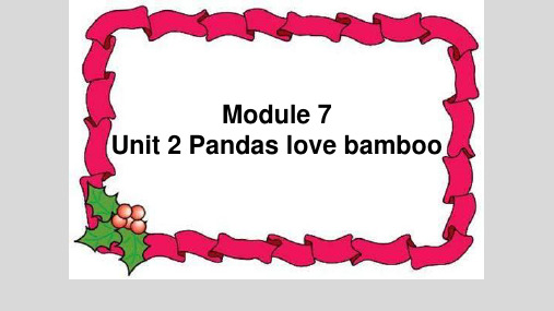 外研版三起点六年级英语上册MODULE 7 Unit 2 Pandas love bamboo课件