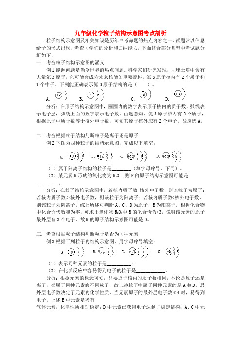 九年级化学粒子结构示意图考点剖析