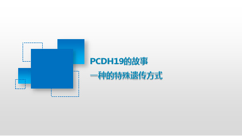 发育和癫痫性脑病9型-PCDH19的特殊遗传方式