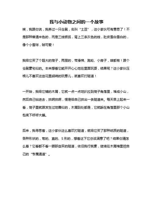 作文《我与小动物之间的一个故事》