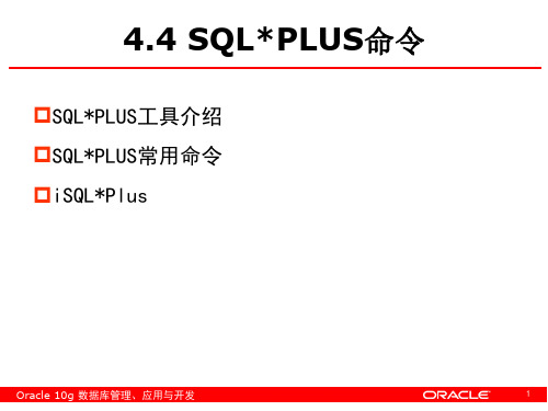 SQLPLUS命令