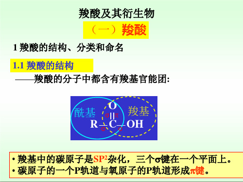 羧酸的结构与命名