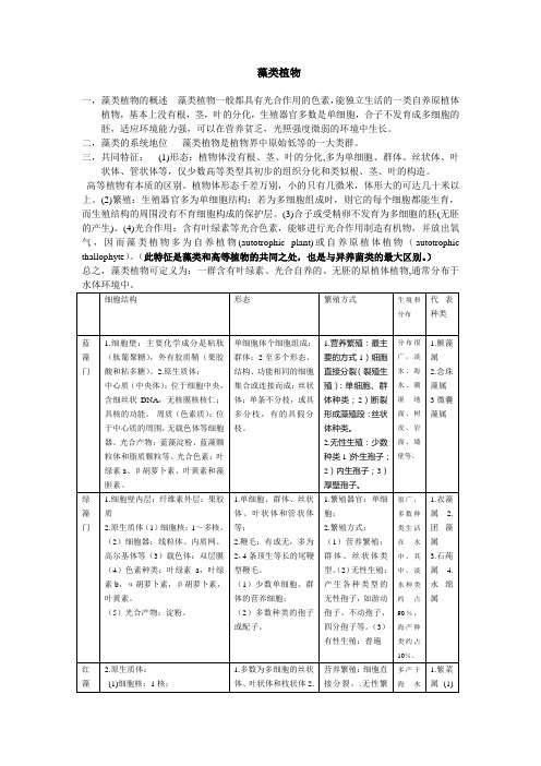 藻类植物