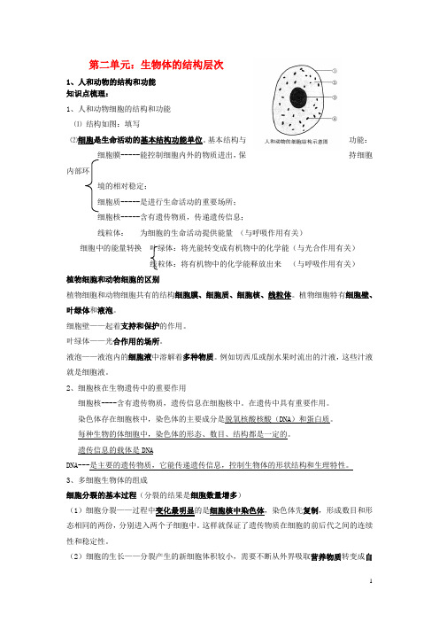 甘肃省白银市中考生物二轮复习 知识点梳理 七上 第二