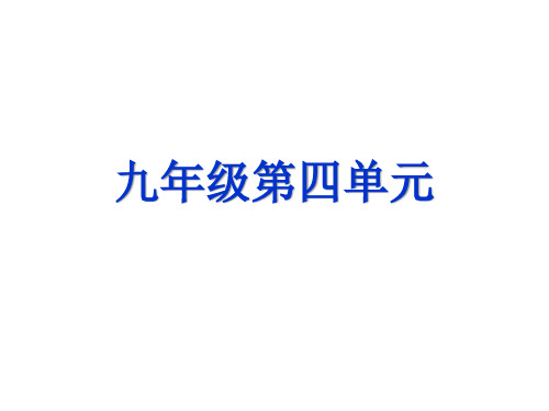 Unit 4单元重点单词短语讲解课件  人教版九年级英语全册