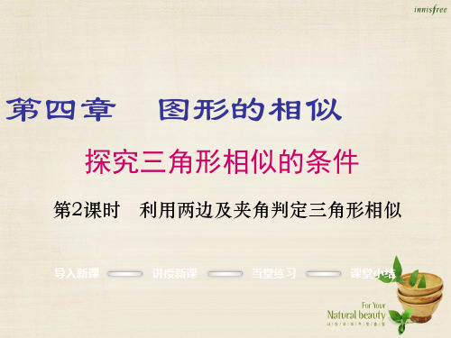 【北师大版】九年级数学上册:4.4.2《利用两边及夹角判定三角形相似》ppt课件