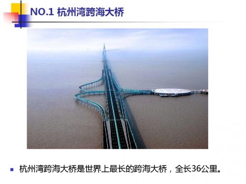 祖国十大奇特公路大桥