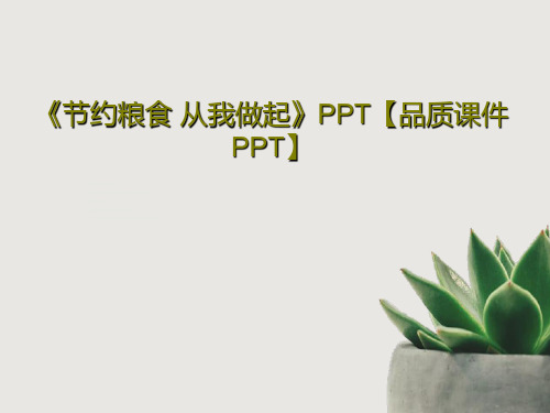 《节约粮食 从我做起》PPT【品质课件PPT】21页PPT