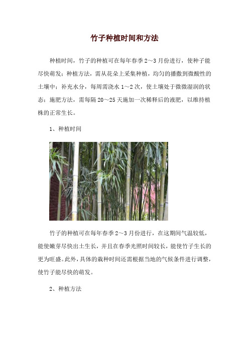 竹子种植时间和方法