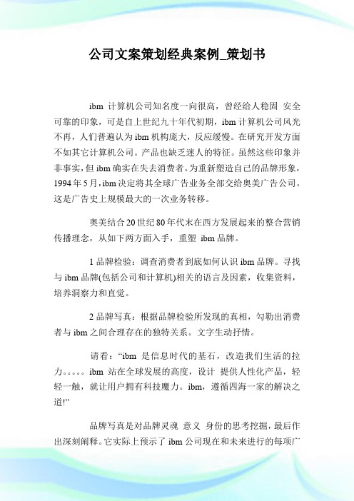 企业文案策划经典案例_策划书.doc