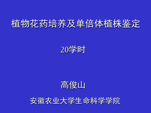 植物花药培养及单倍体植株鉴定 PPT课件