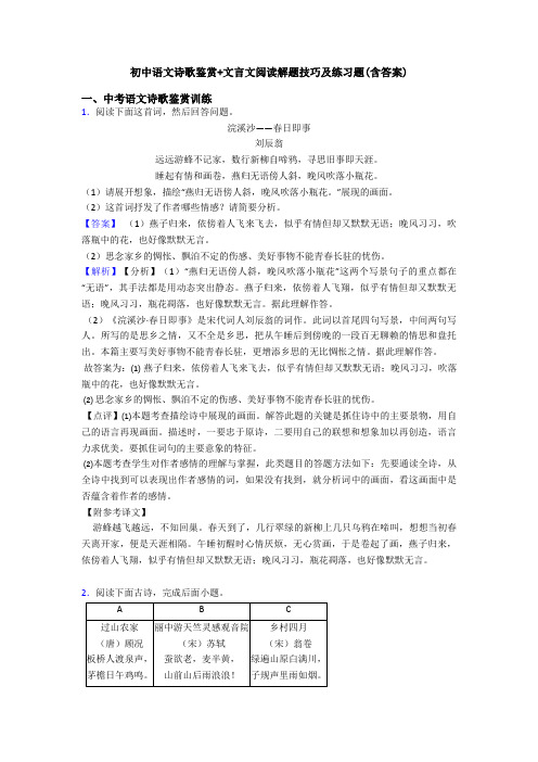 初中语文诗歌鉴赏+文言文阅读解题技巧及练习题(含答案)