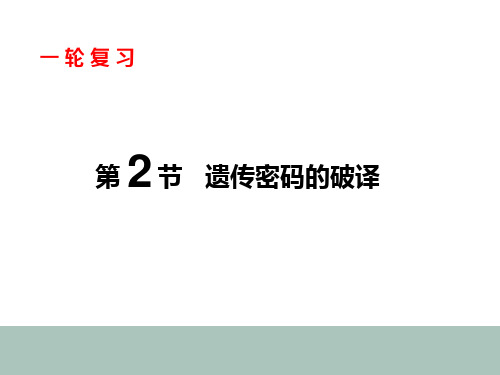 5.2高中生物一轮复习遗传密码的破译