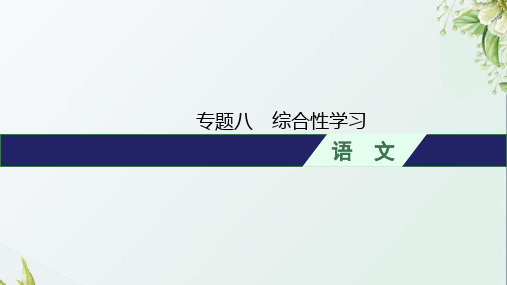 人教版初中语文总复习专题8综合性学习课件