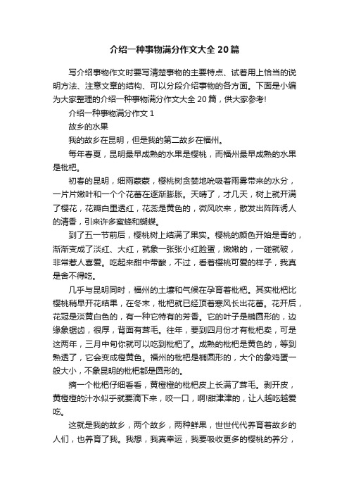 介绍一种事物满分作文大全20篇