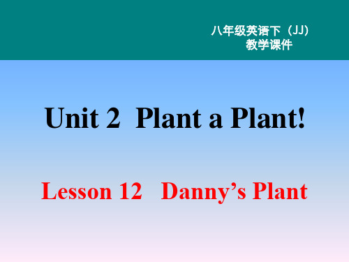 冀教版英语八年级下册课件-Unit 2 Lesson 12课件