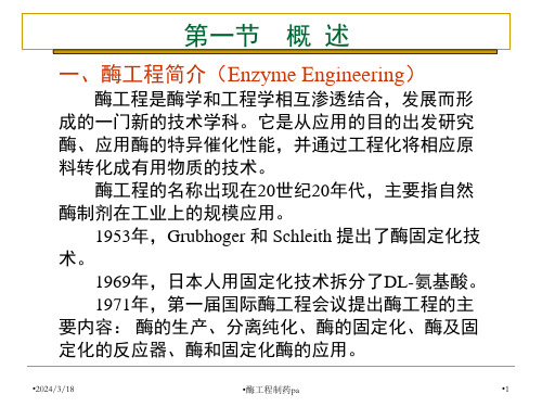 酶工程制药pa课件