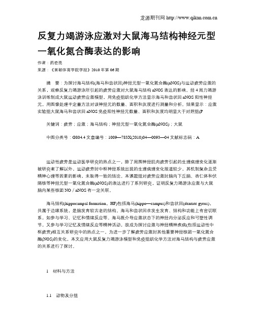 反复力竭游泳应激对大鼠海马结构神经元型一氧化氮合酶表达的影响