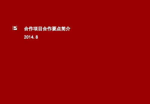 合作项目合作要点简介