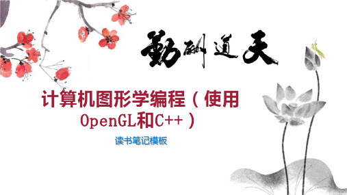 计算机图形学编程(使用OpenGL和C  )