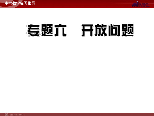 中考数学专题复习精品课件(含10 11真题)专题6 开放问题(34张)