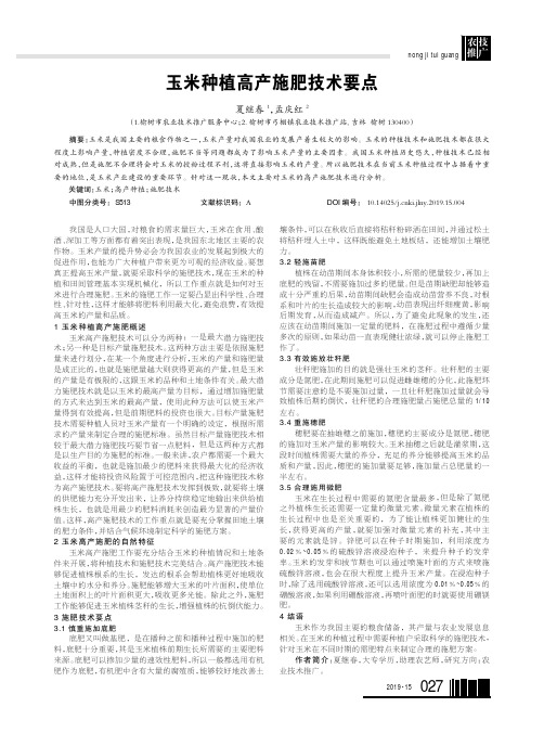 玉米种植高产施肥技术要点