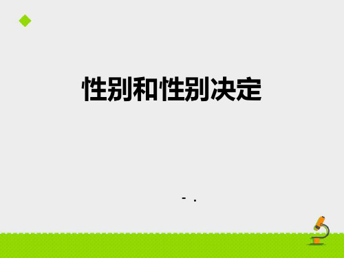 《性别和性别决定》PPT